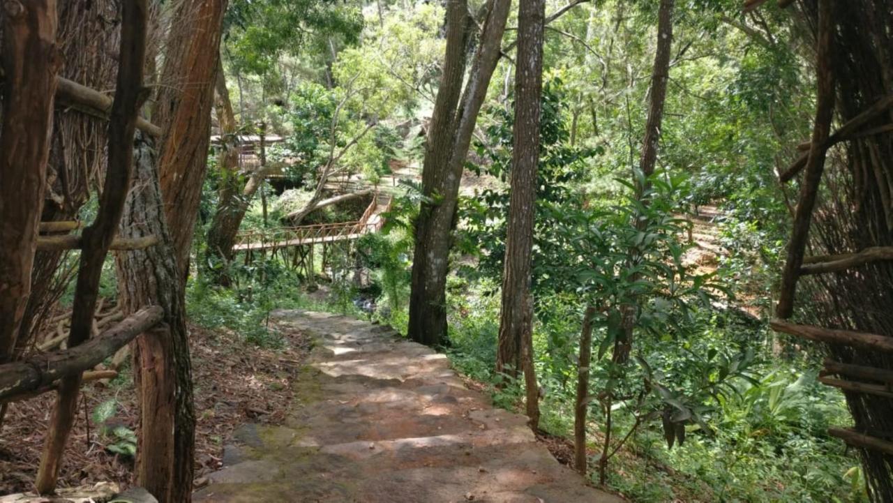 塞里布巴图松戈兰吉特度假村及营地 班图尔 外观 照片